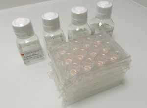 Real Human Skin Testing Kits