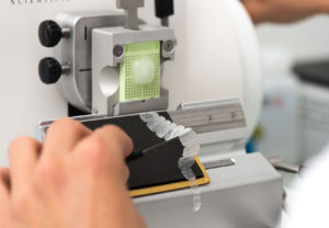 Treatment of HistoSkin® skin tissue sections