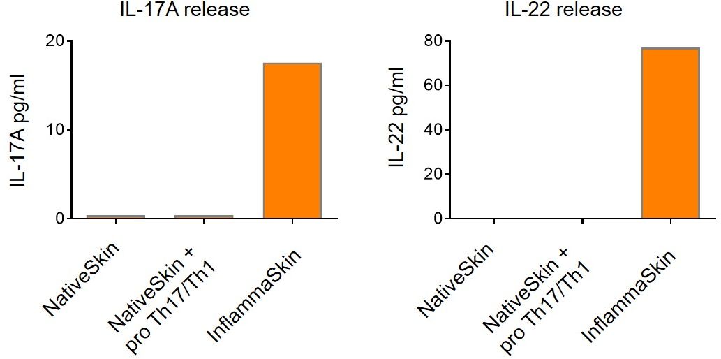 cytokine release inflammation in psoriasis model
