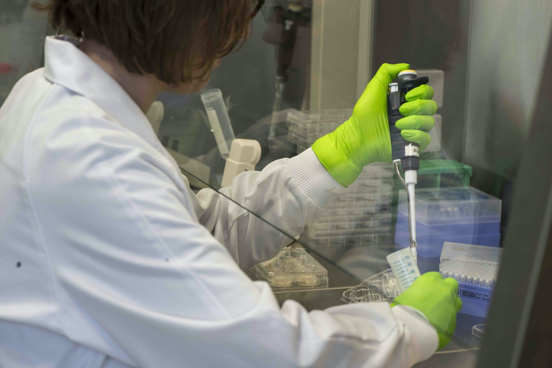 Highly skilled expert in skin biology performing treatment on Genoskin's assays as part of our preclinical R&D services